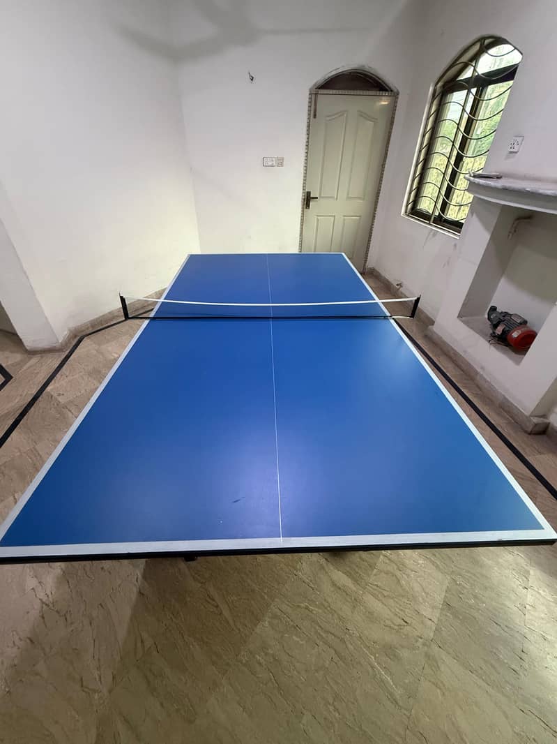 Table Tennis 1