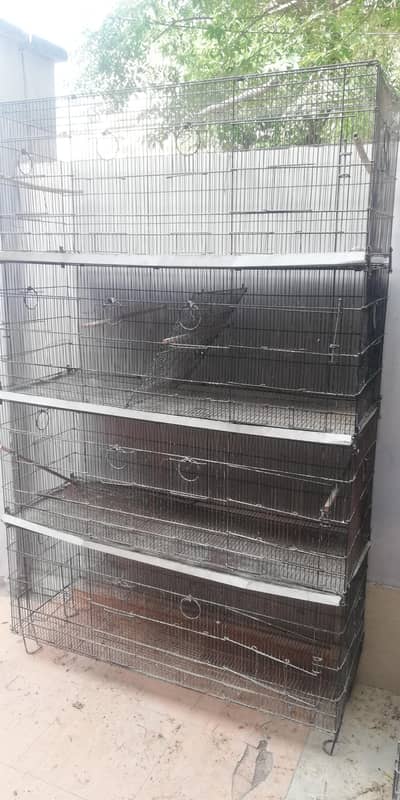 cages, 2*2, 1.5*4 and 2by2