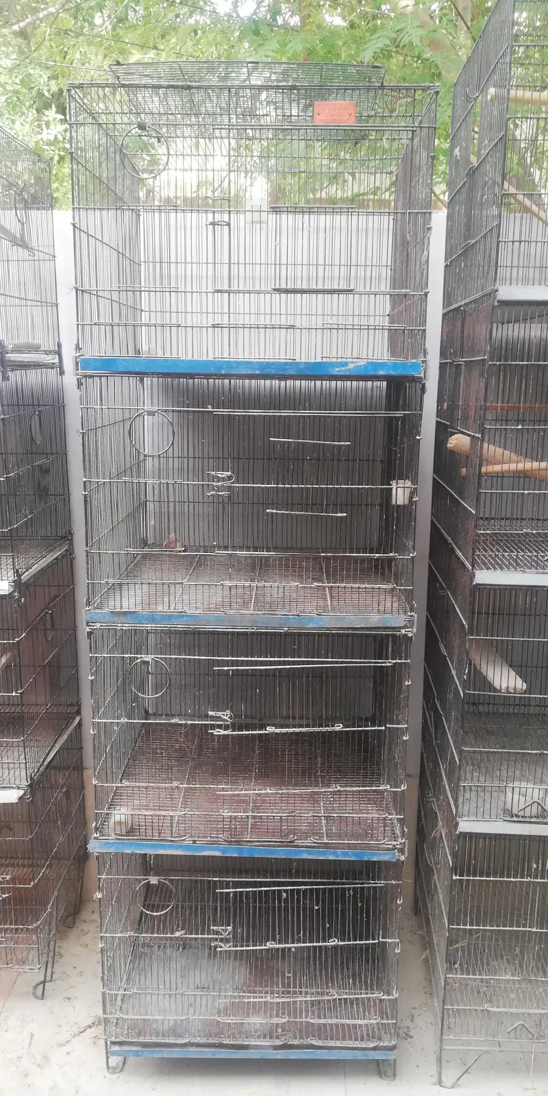 cages, 2*2, 1.5*4 and 2by2 — photo 3