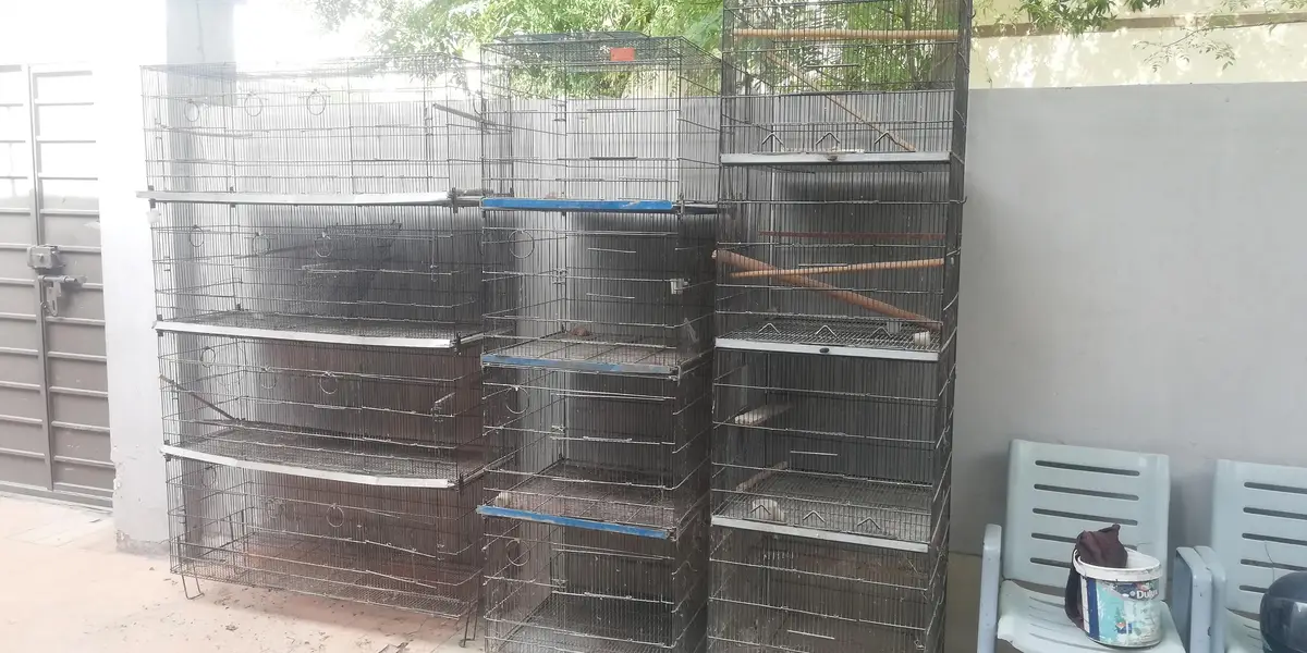 cages, 2*2, 1.5*4 and 2by2 — photo 5