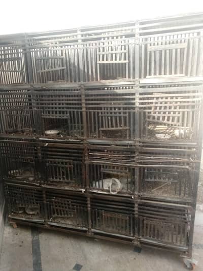 birds cage with tyre ,tray,heavy