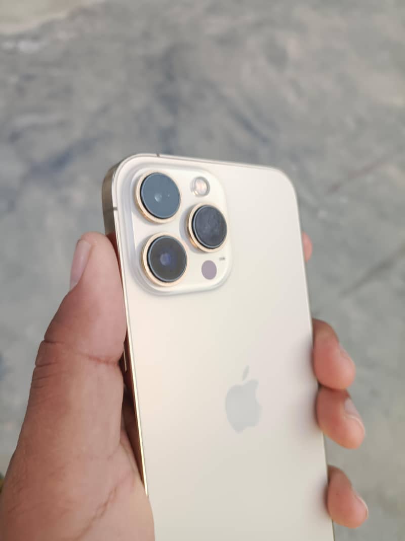 iphone 13 pro max 1