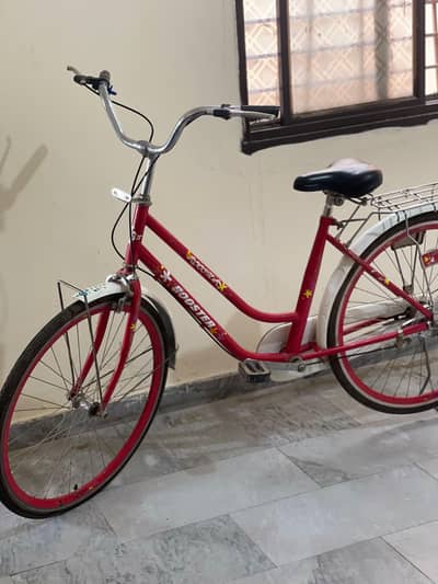 Imported bicycle