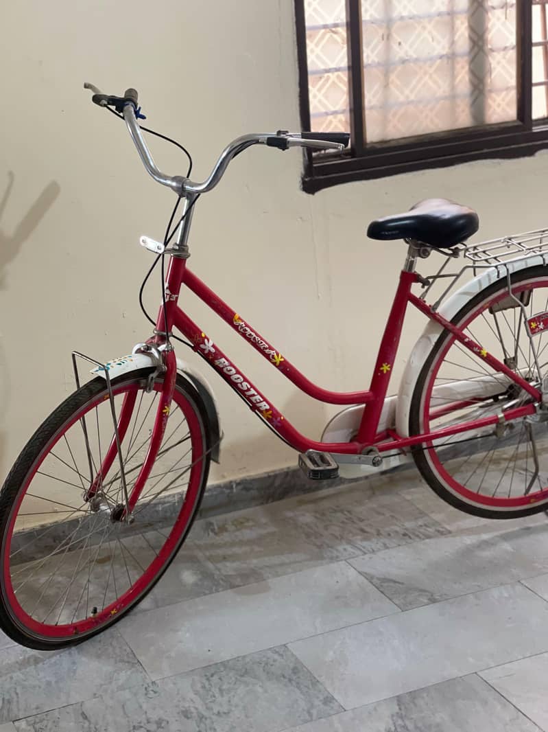 Imported bicycle 0