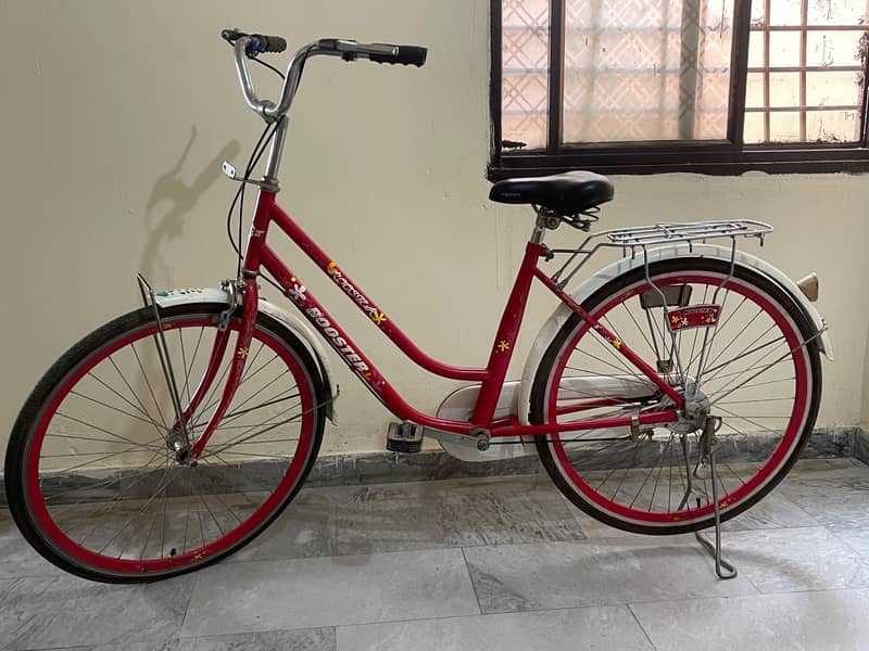 Imported bicycle 2