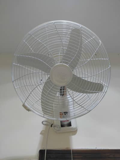 Royal Bracket Fan