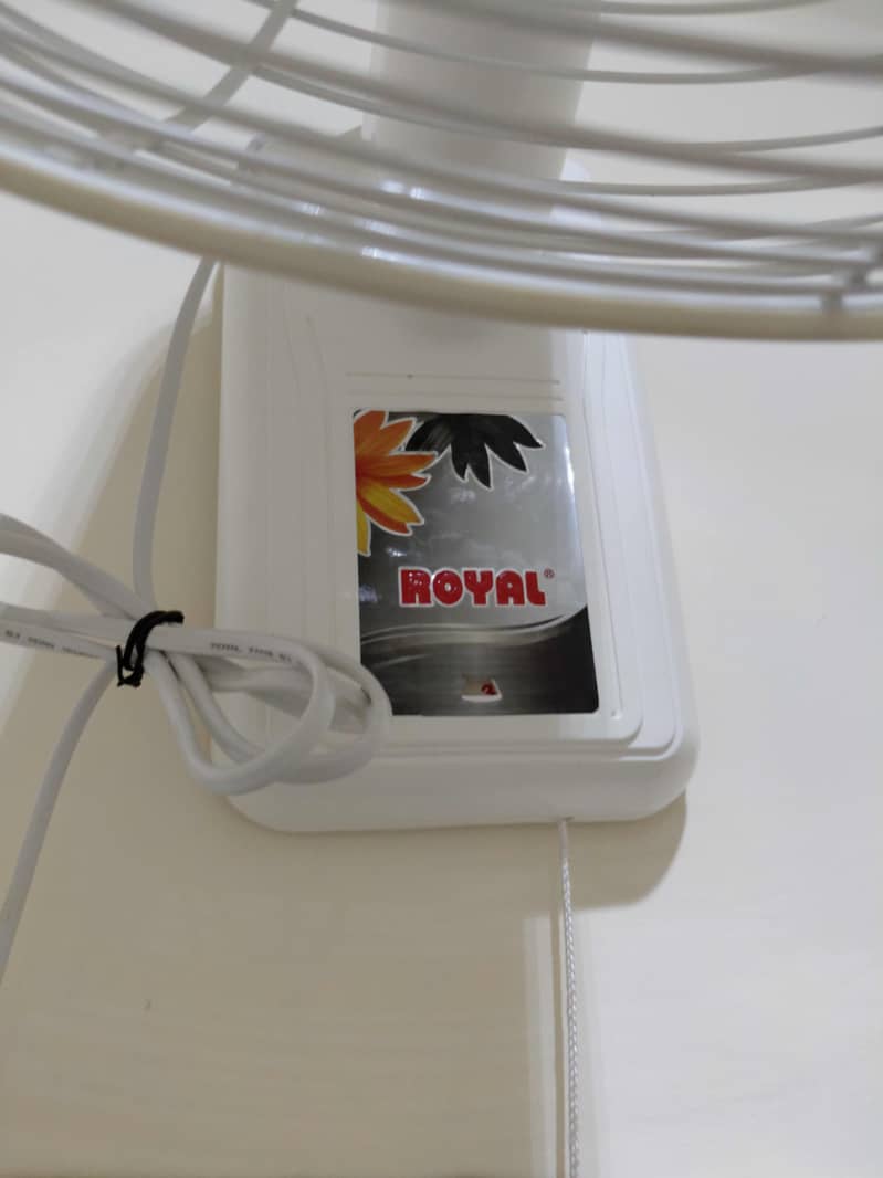 Royal Bracket Fan 1