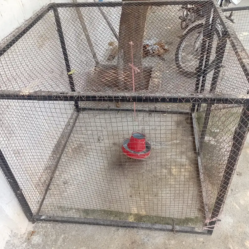 CAGE FOR SALE — photo 2