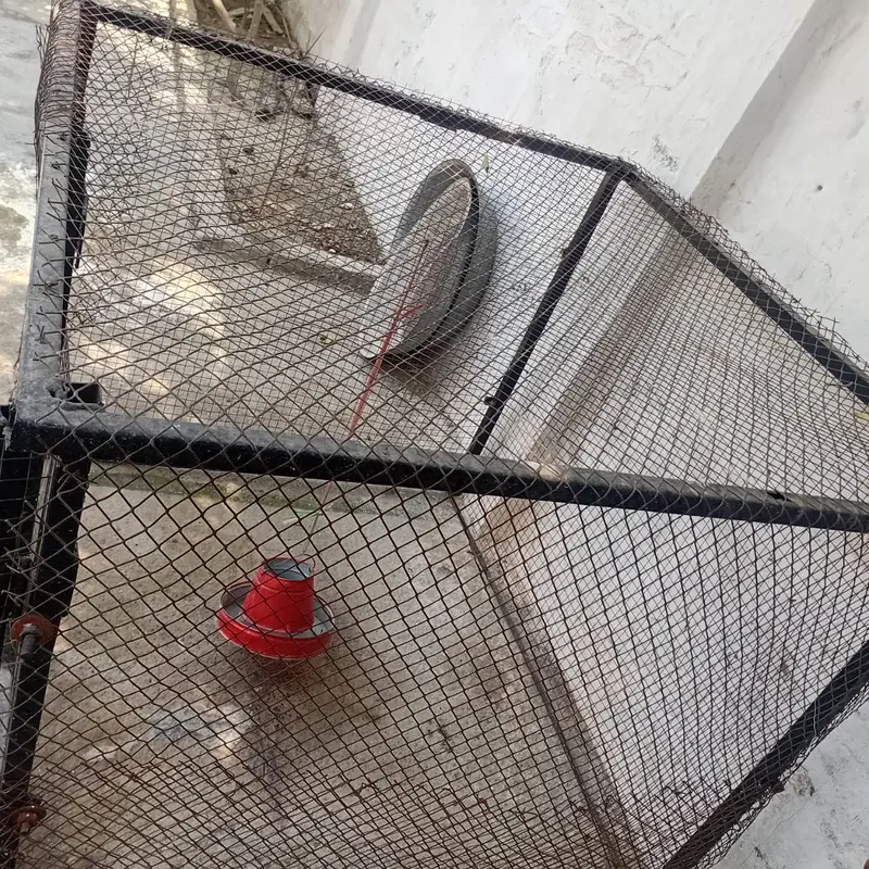 CAGE FOR SALE — photo 3