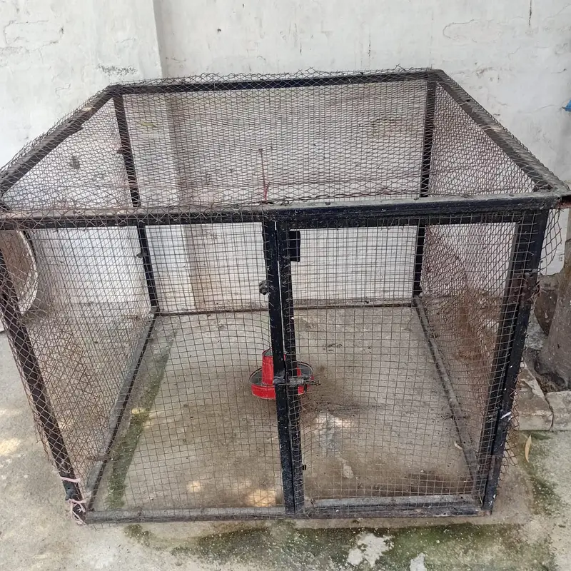 CAGE FOR SALE — photo 4