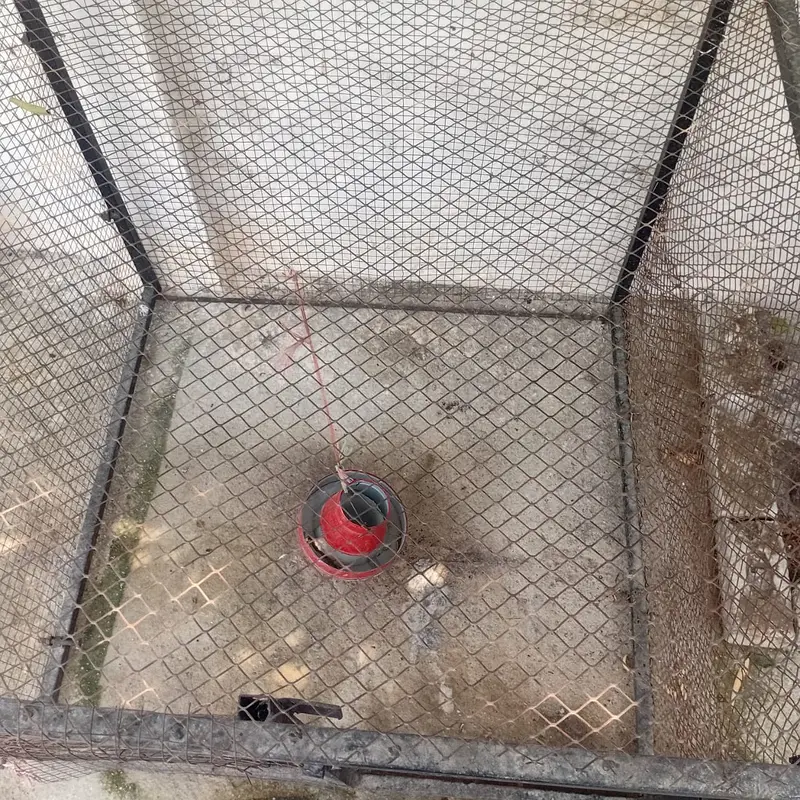 CAGE FOR SALE — photo 5