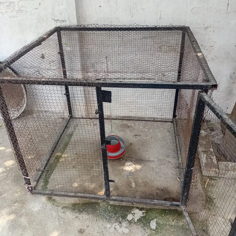 CAGE FOR SALE — photo 6