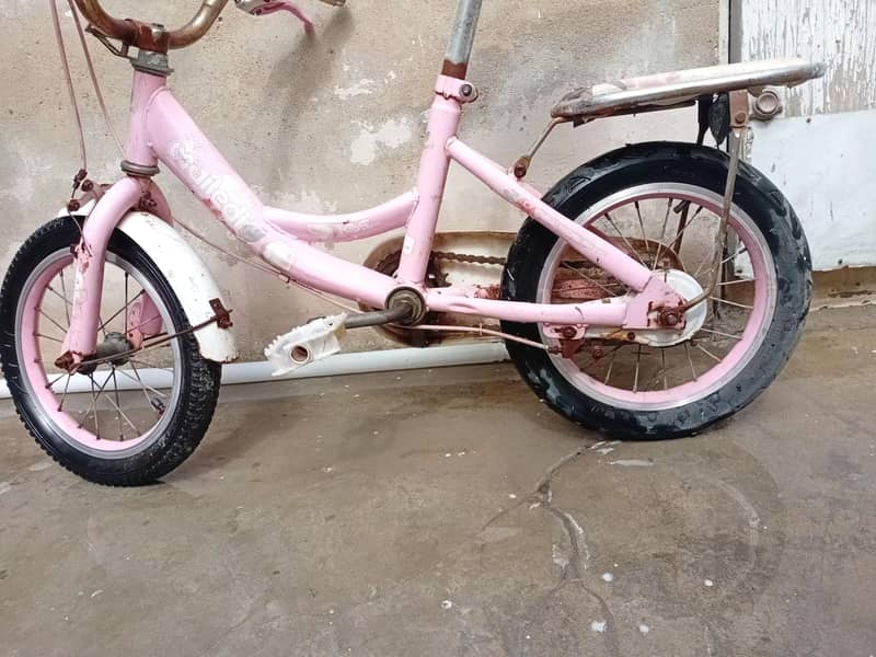 kid cycle 1