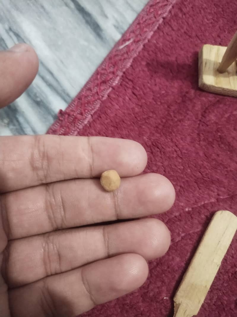 mini cricket kit 1
