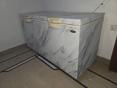 Waves double door deep freezer