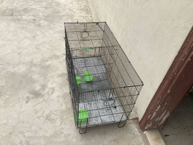 Master cage 0