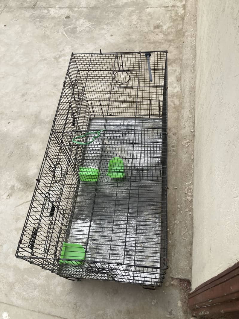 Master cage 1