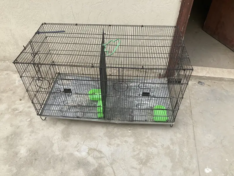 Master cage — photo 3