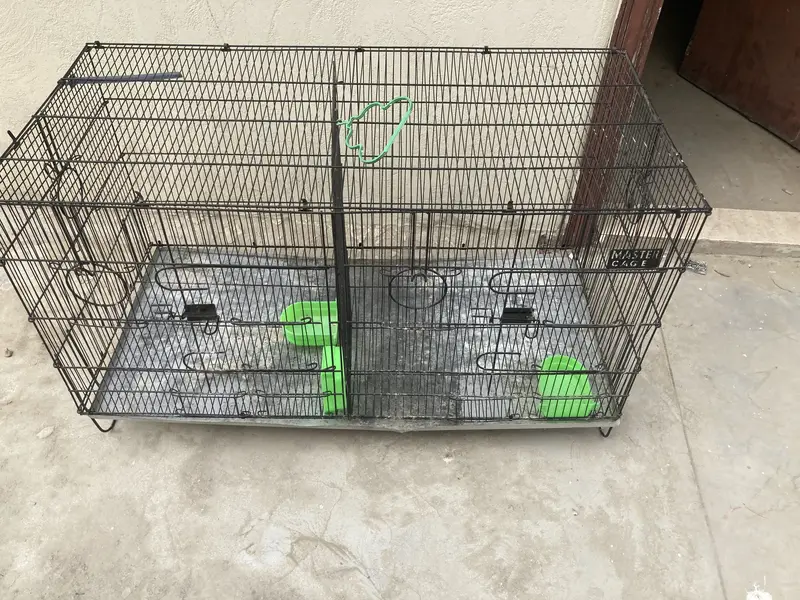 Master cage — photo 4