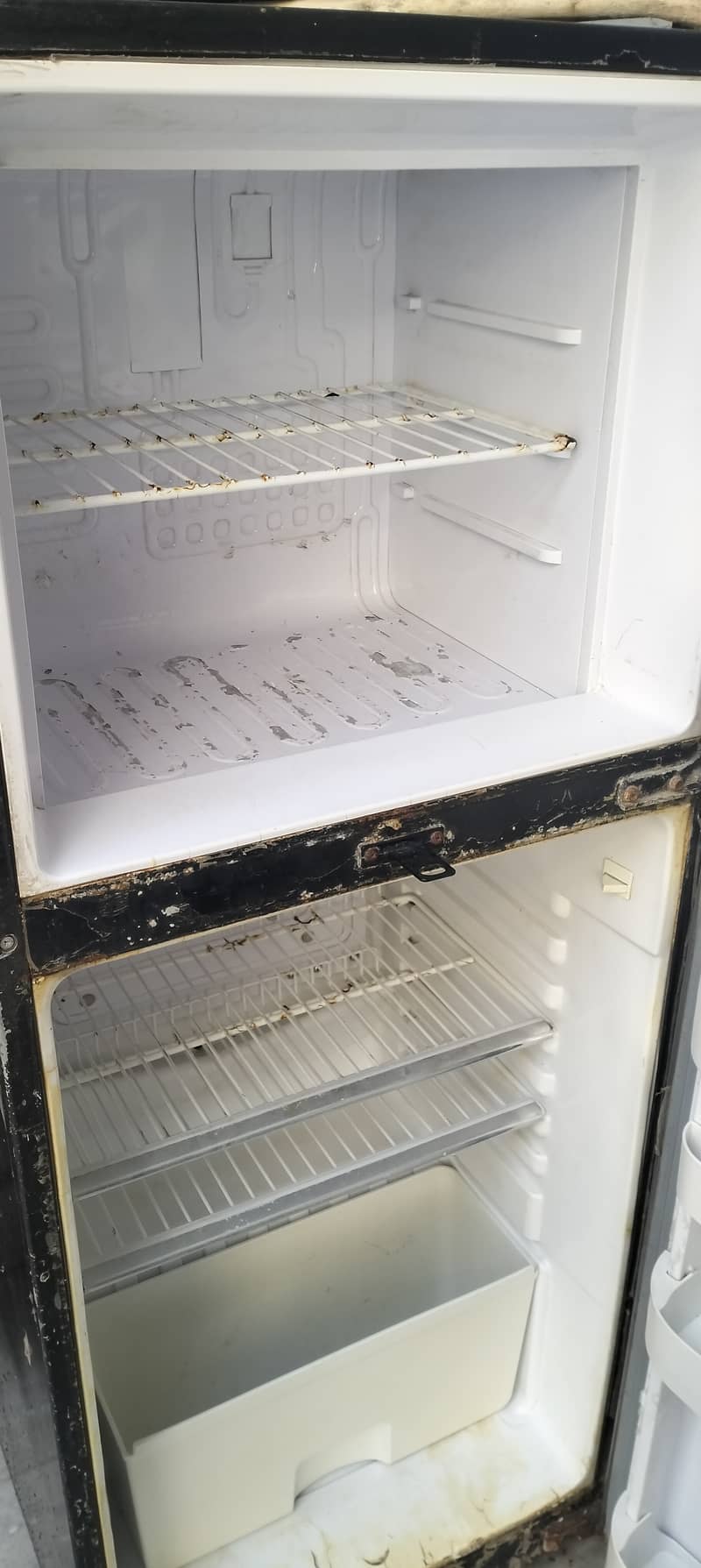 Orient Refrigerator 0