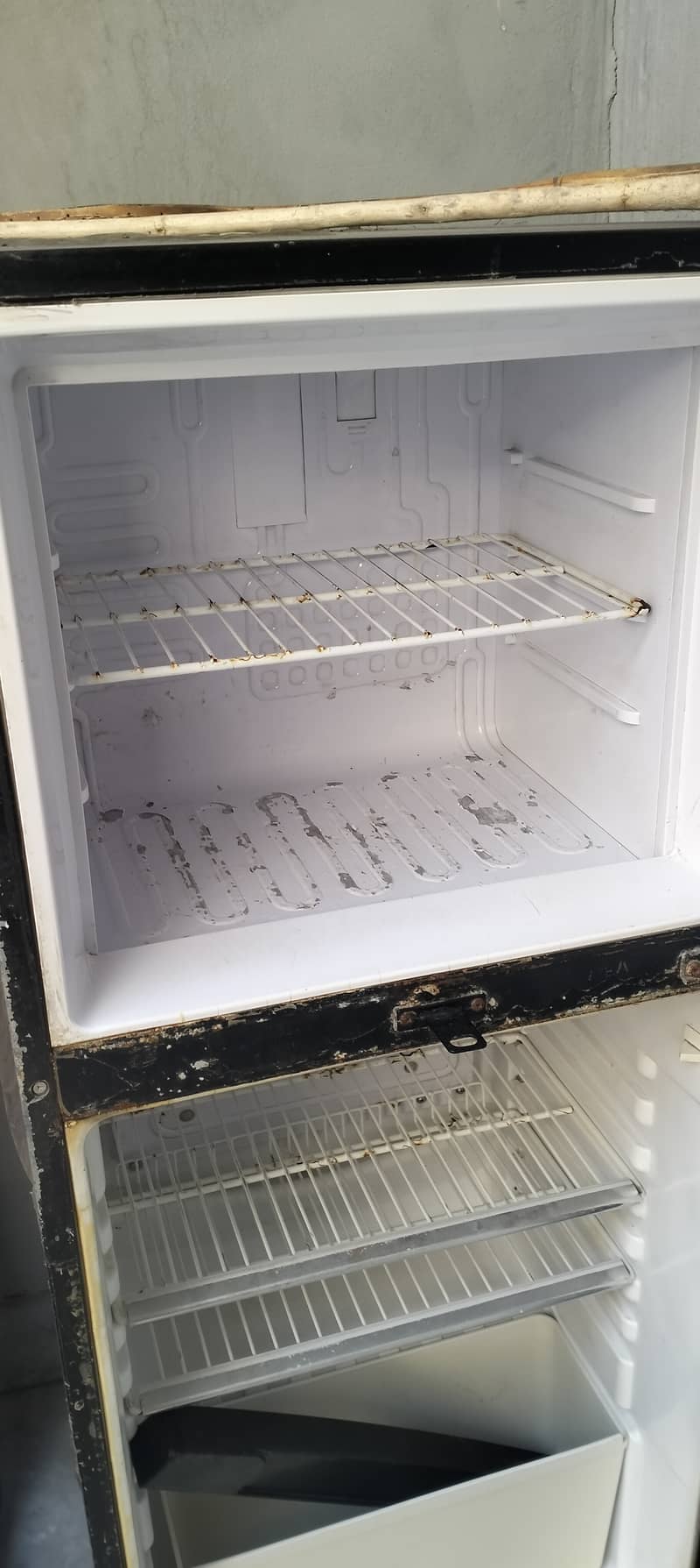 Orient Refrigerator 5