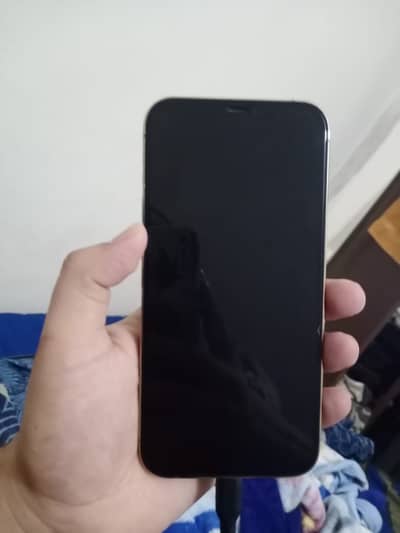 Apple iPhone 12 Pro Max dual pta