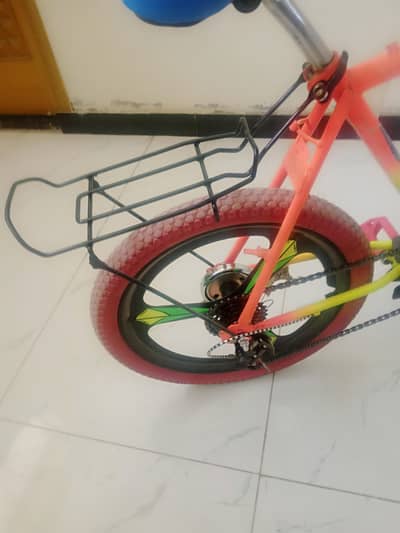 willing cycle