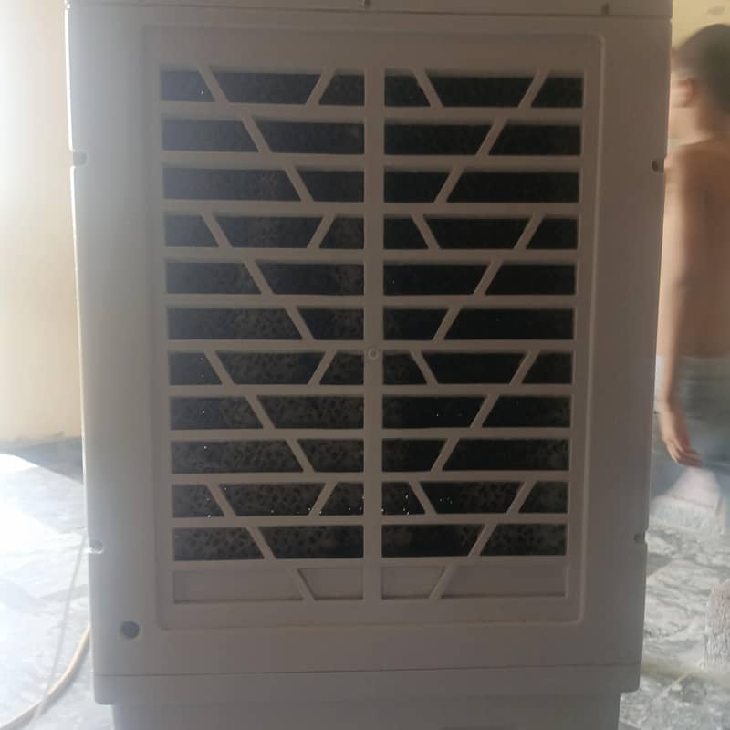 room cooler 10