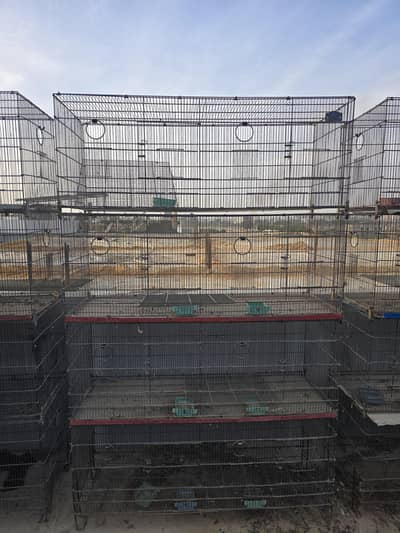 Cages