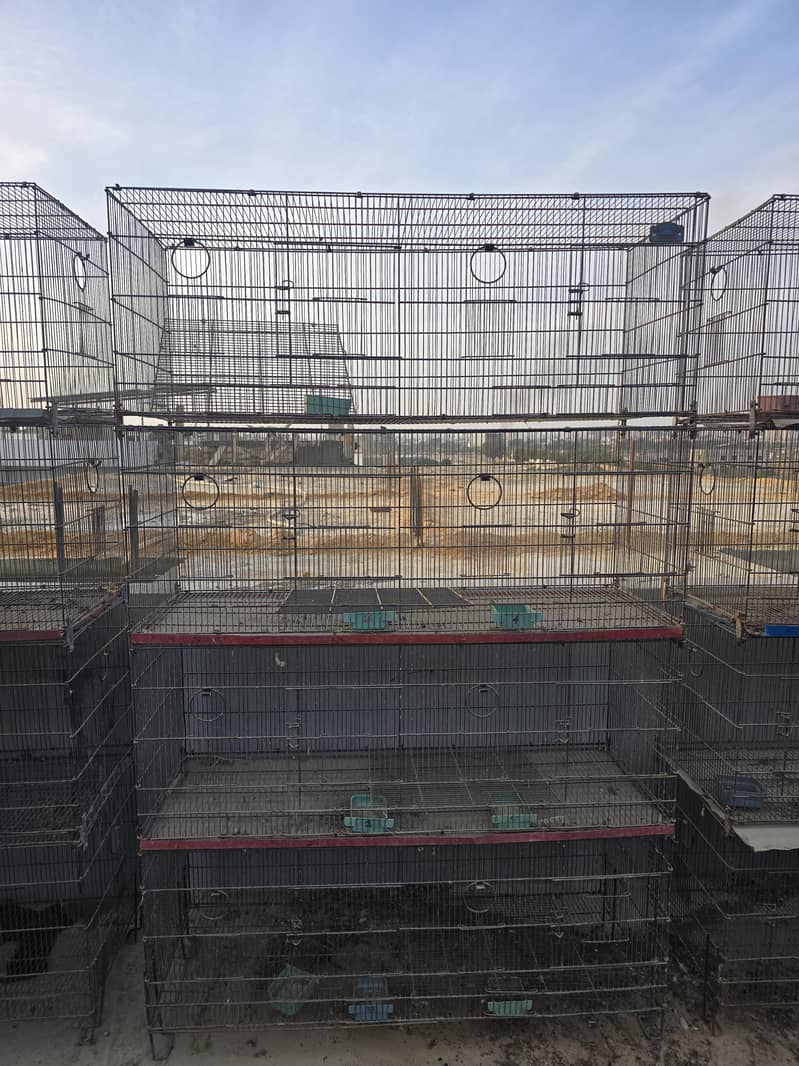 Cages 0