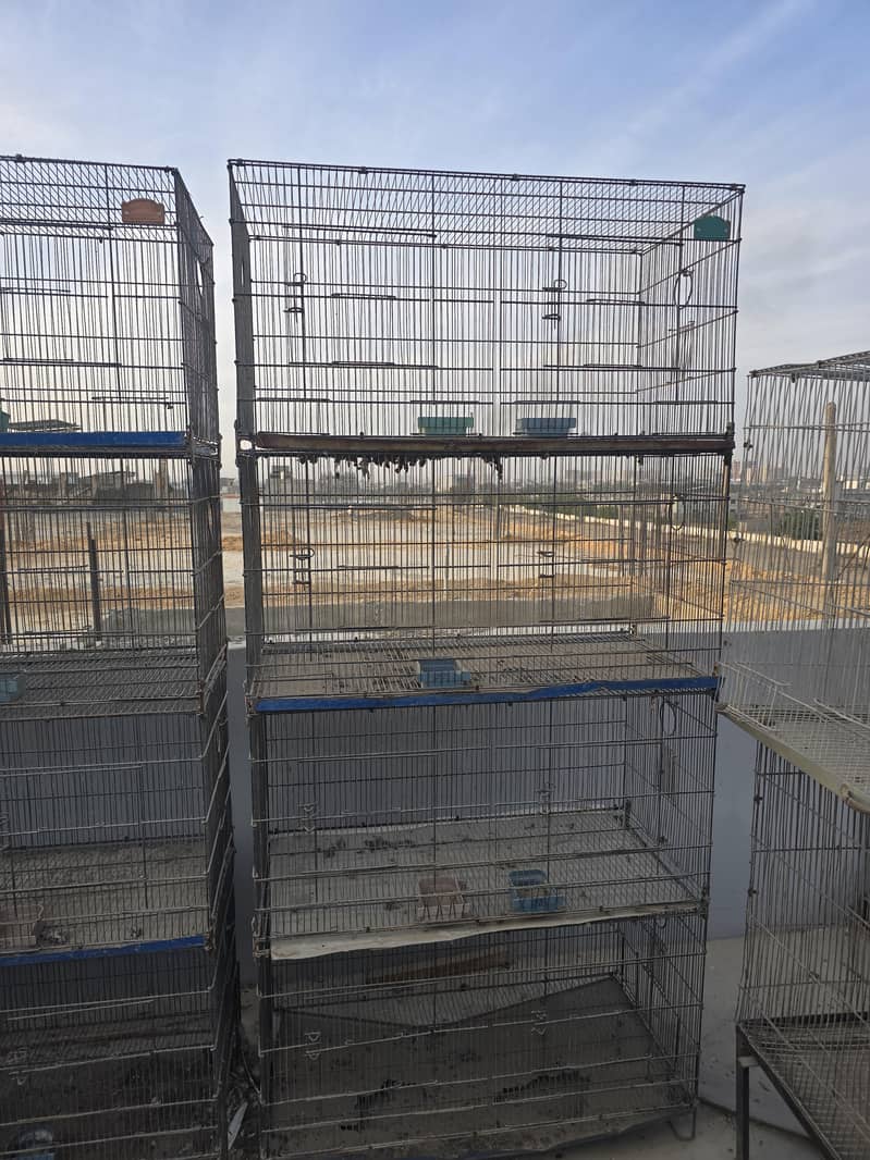Cages 1