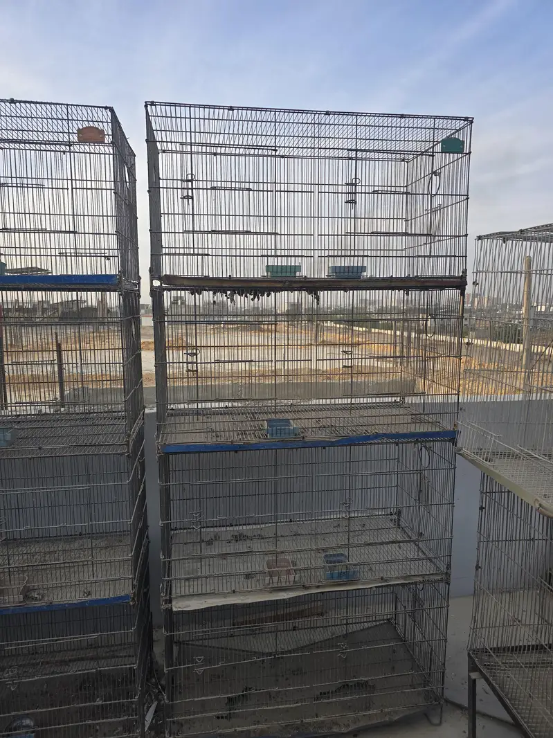 Cages — photo 2
