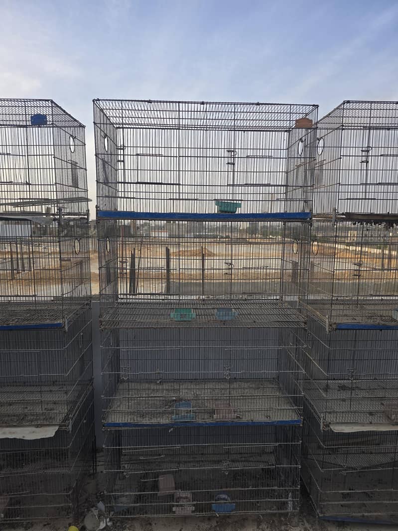 Cages 2