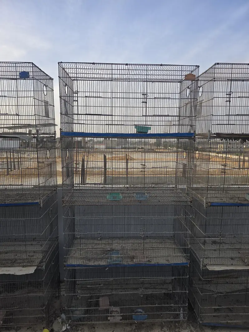 Cages — photo 3