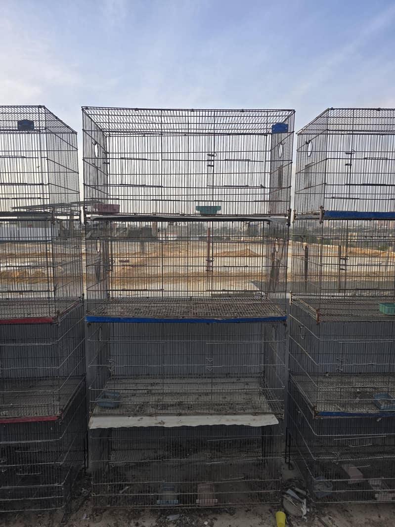 Cages 3