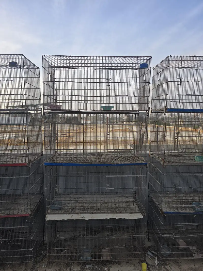 Cages — photo 4