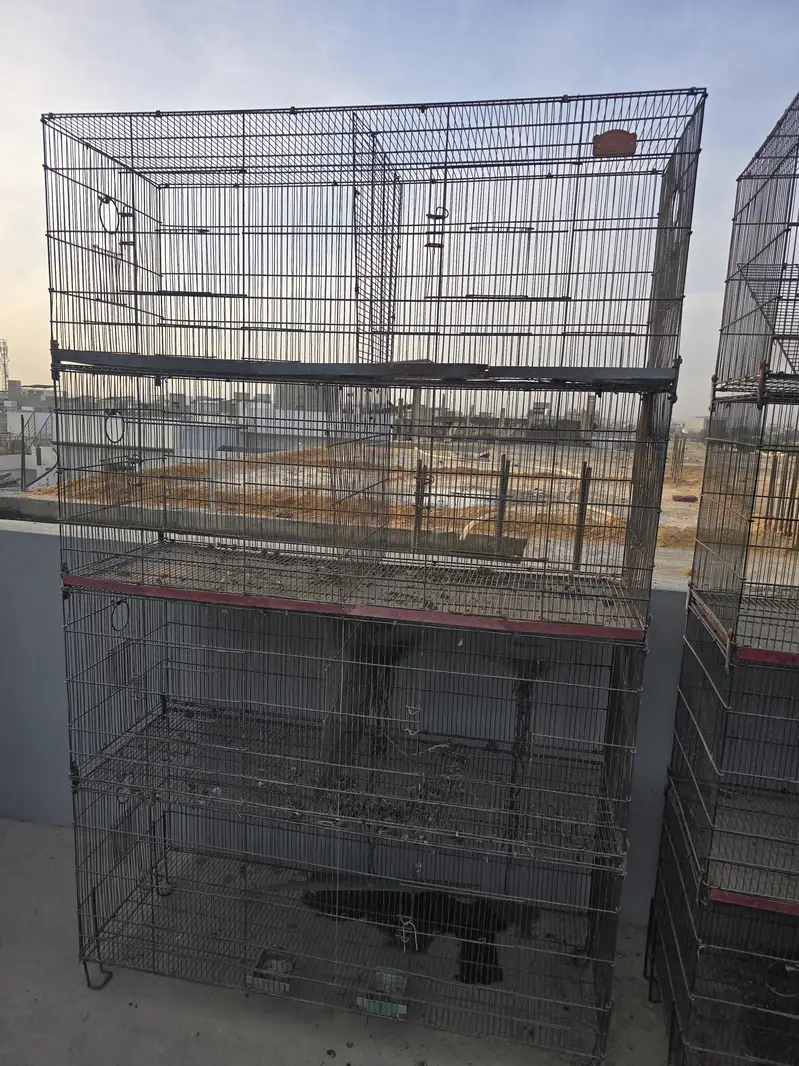 Cages — photo 5