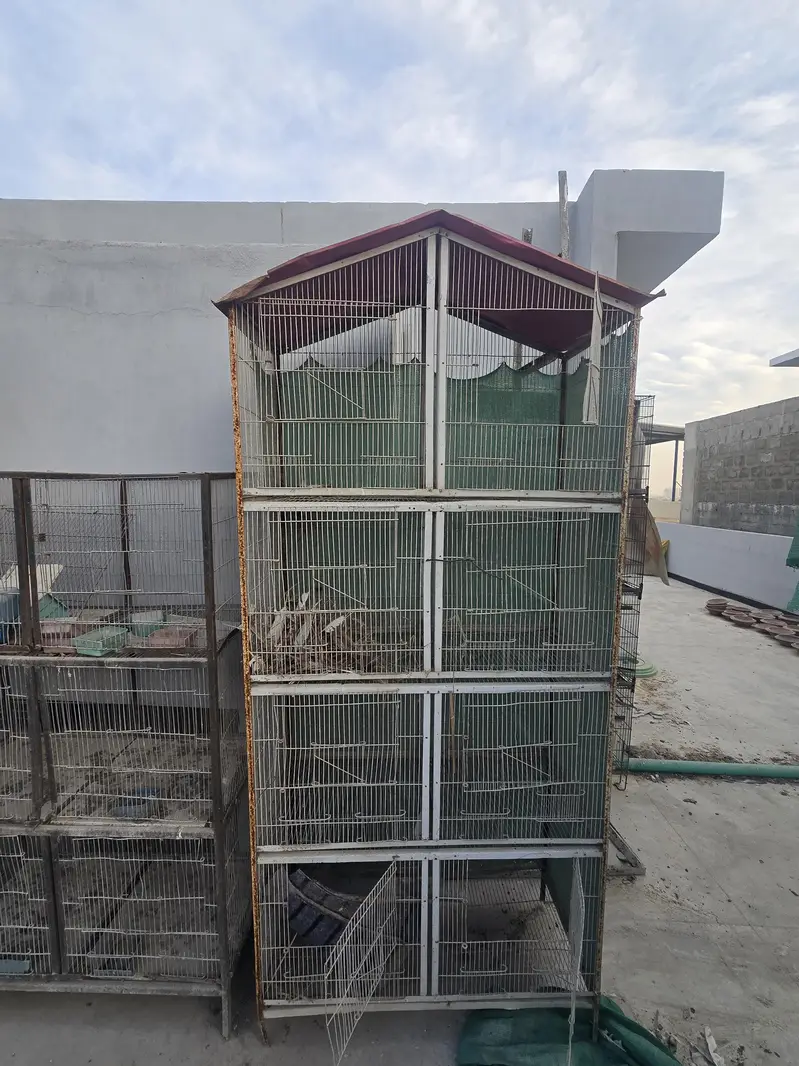 Cages — photo 6