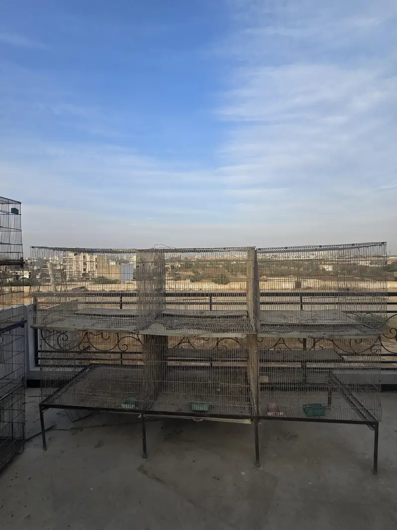 Cages — photo 7