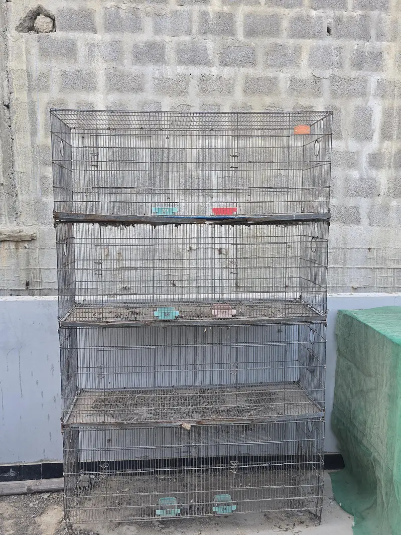 Cages — photo 8
