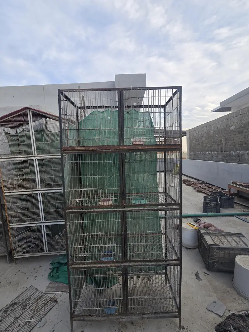 Cages — photo 10