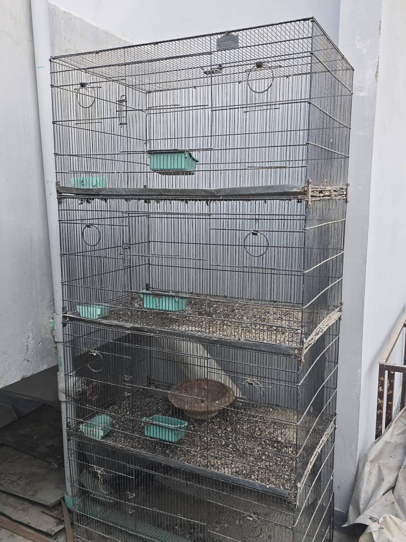 Cages 10