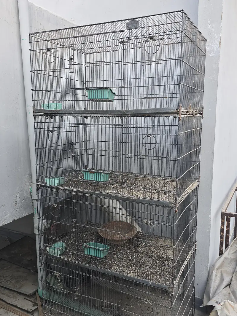 Cages — photo 11