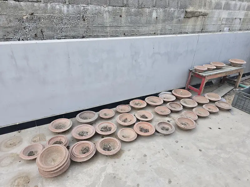 Cages — photo 12