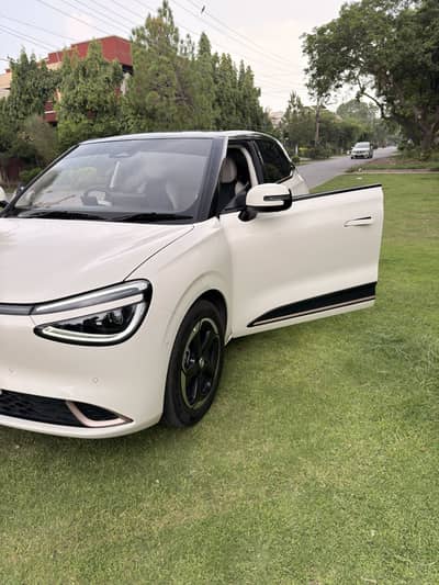 Dongfeng Box Flagship 430