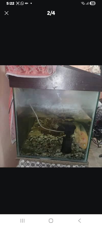 Aquarium tank for sale in excellent condition.