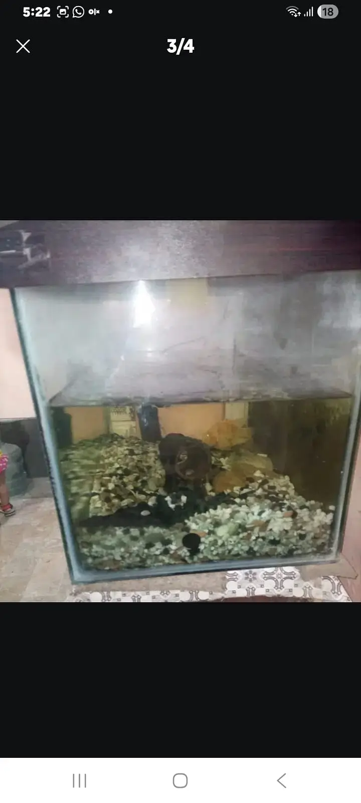 Aquarium tank for sale in excellent condition. — photo 2
