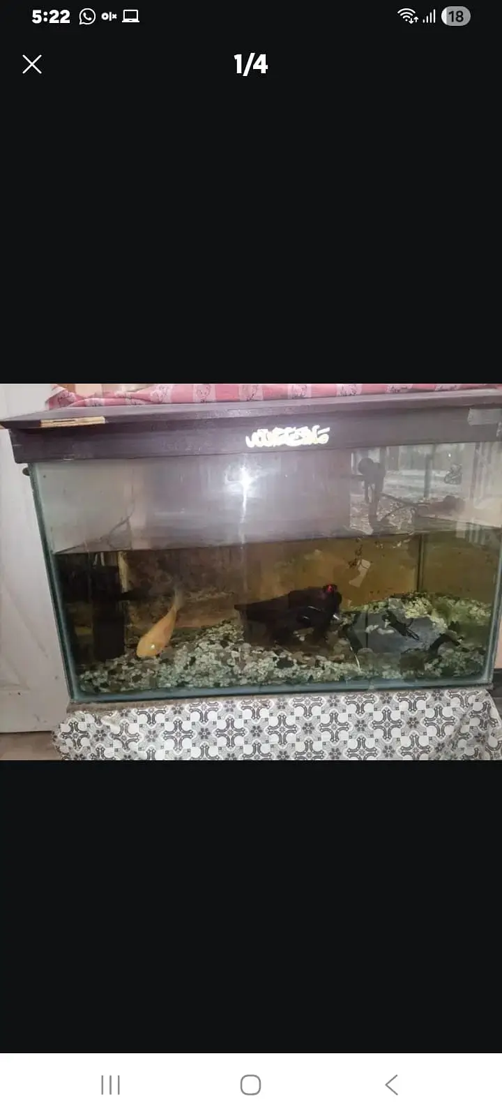 Aquarium tank for sale in excellent condition. — photo 3