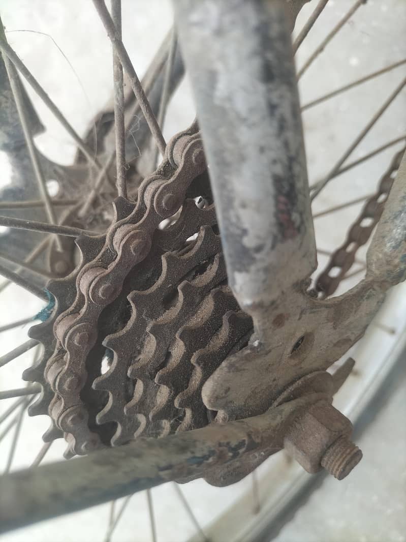 bicycle  1