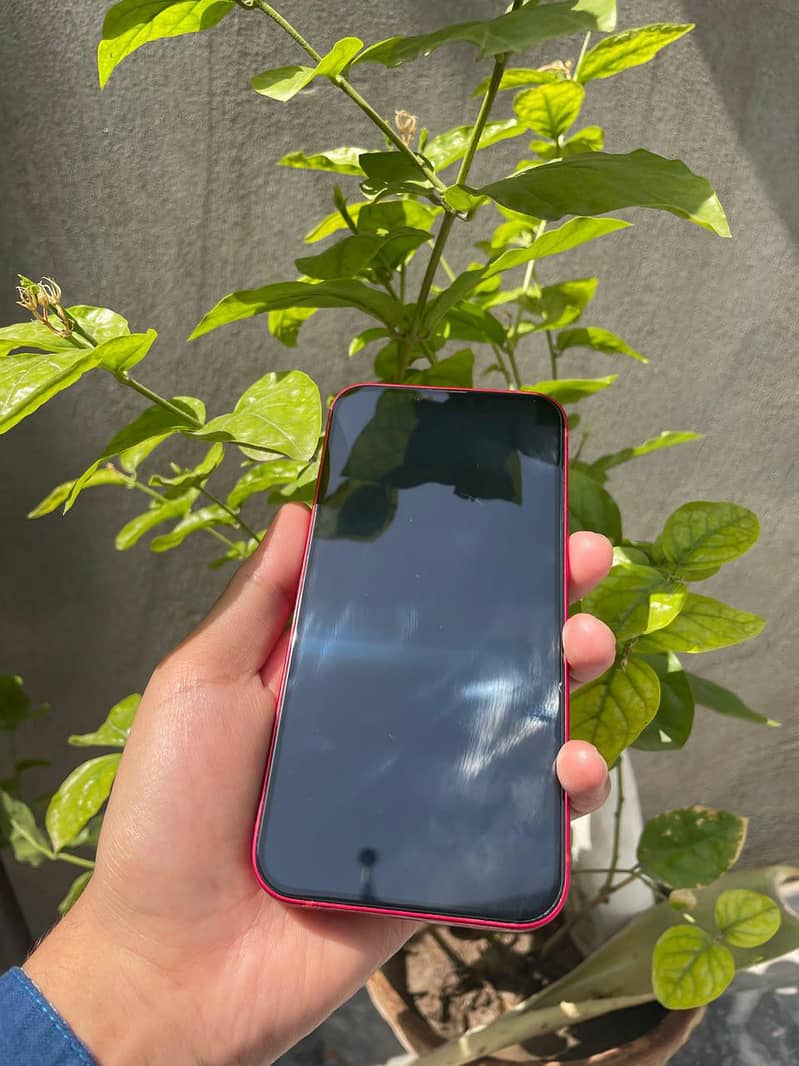 Apple iPhone 14 1